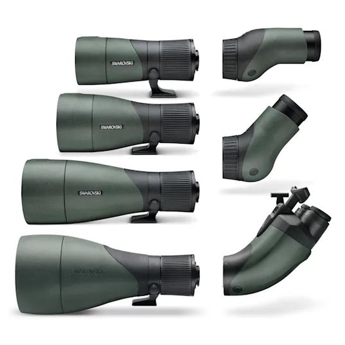 Modulo obiettivo per Swarovski Optik ATX/ STX/ BTX