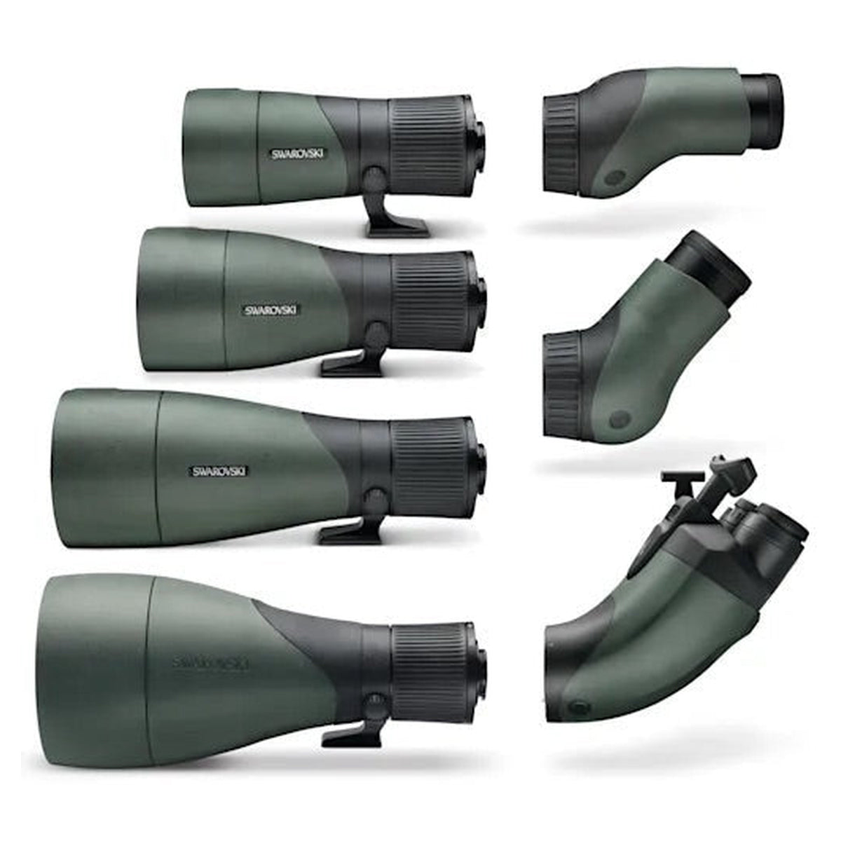 Longue-vue modulaire Swarovski Optik STX