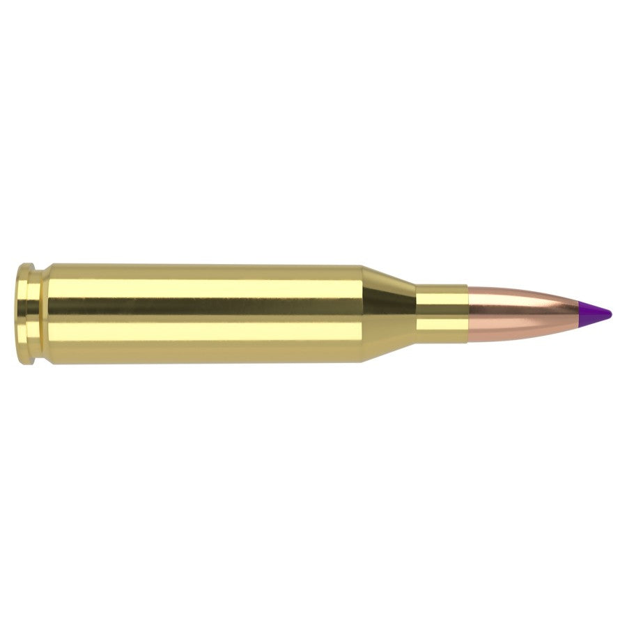 Munición NOSLER Ballistic Tip Hunting