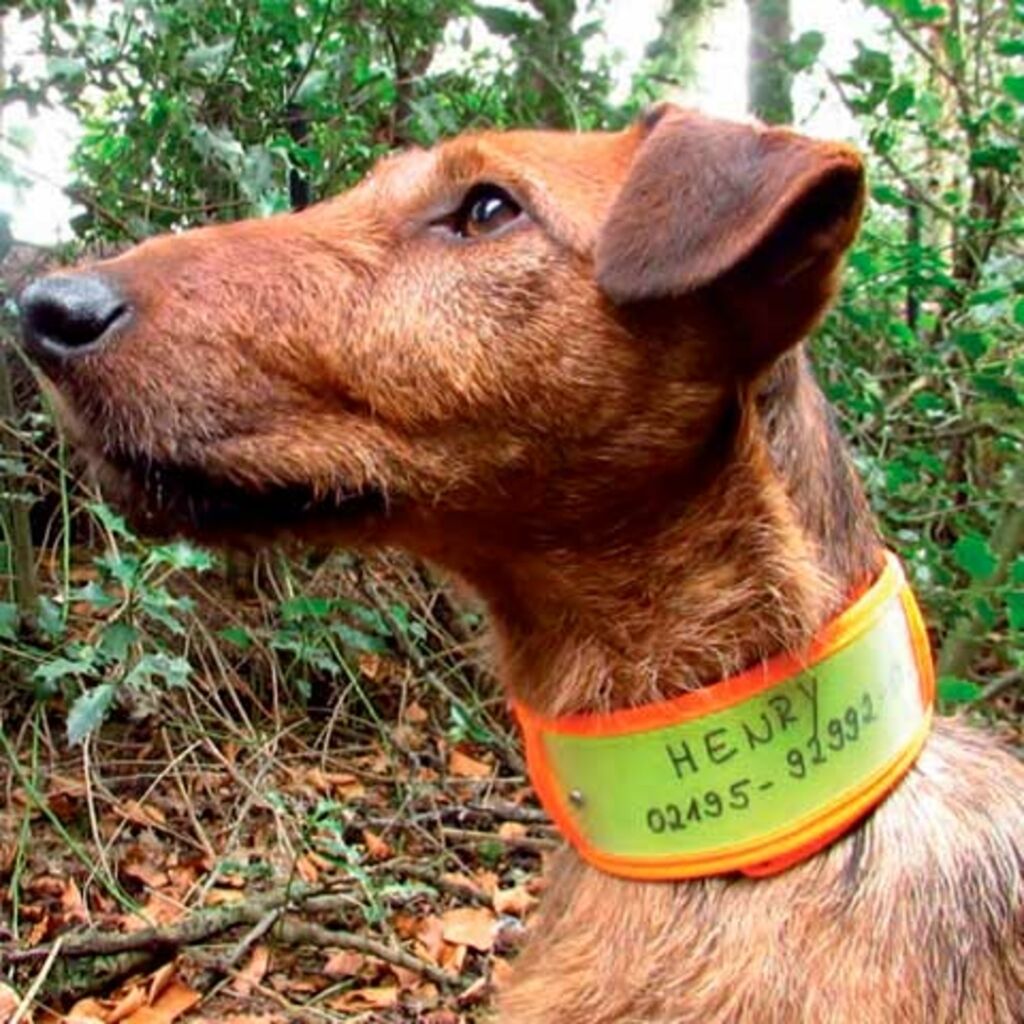 Collar reflectante para perros de rastro NIGGELOH