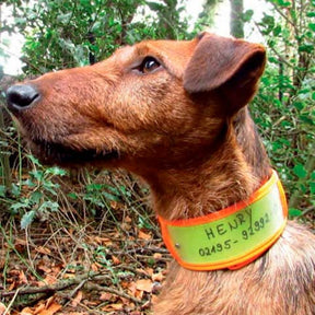 Collar reflectante para perros de rastro NIGGELOH
