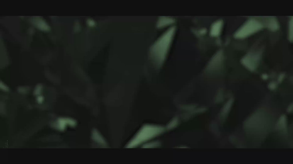 Taurus-Pixfra
