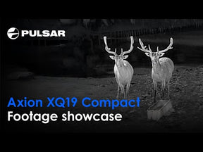 Monocular térmico Pulsar Axion Compact XQ19