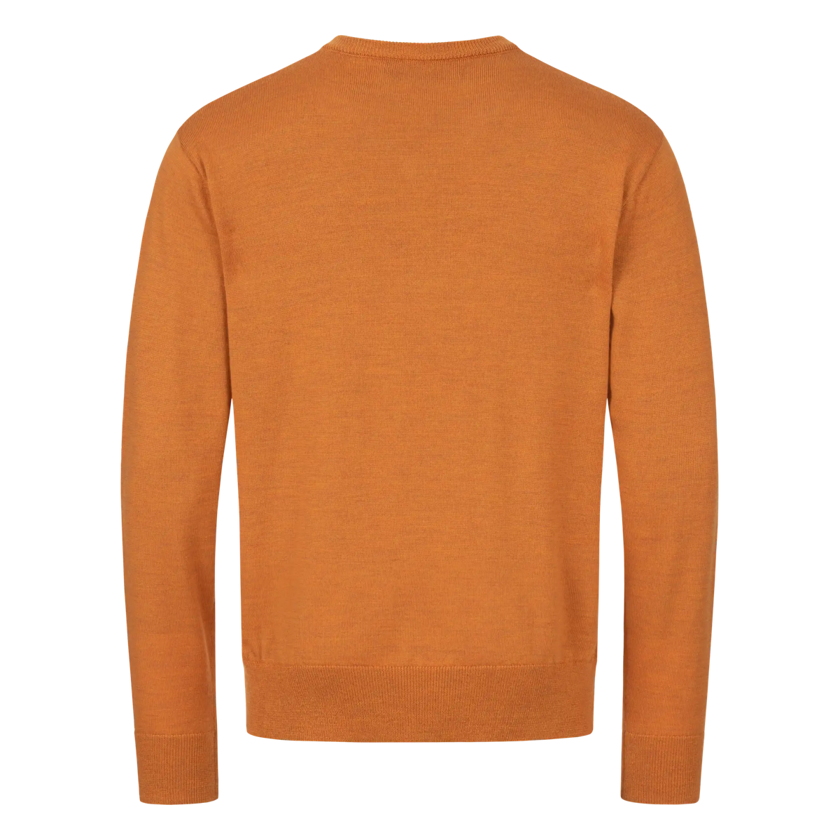 Pull en laine mérinos BLASER col en V