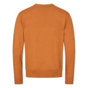 Pull en laine mérinos BLASER col en V
