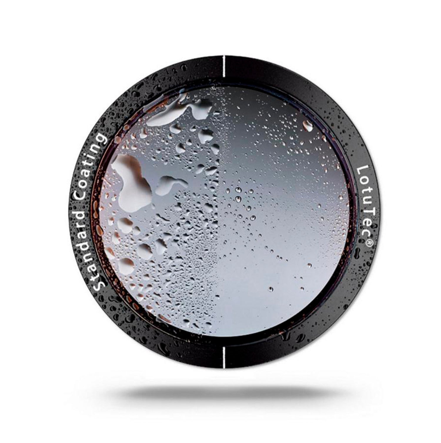 Telescopio terrestre ZEISS Conquest Apia 65 HD 20-50x