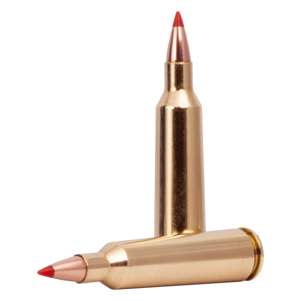 Munición metálica FEDERAL Varmint & Predator Hornady V-Max - imagen 2