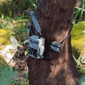 Cable de seguridad ZEISS LOCK con código para Secacam