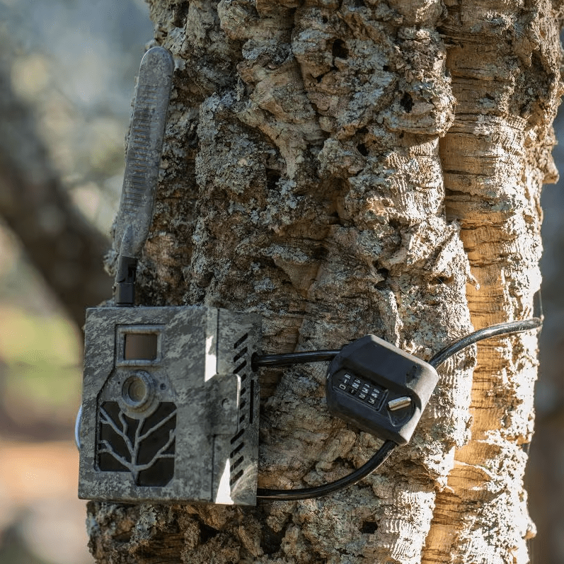 Cable de seguridad ZEISS LOCK con código para Secacam