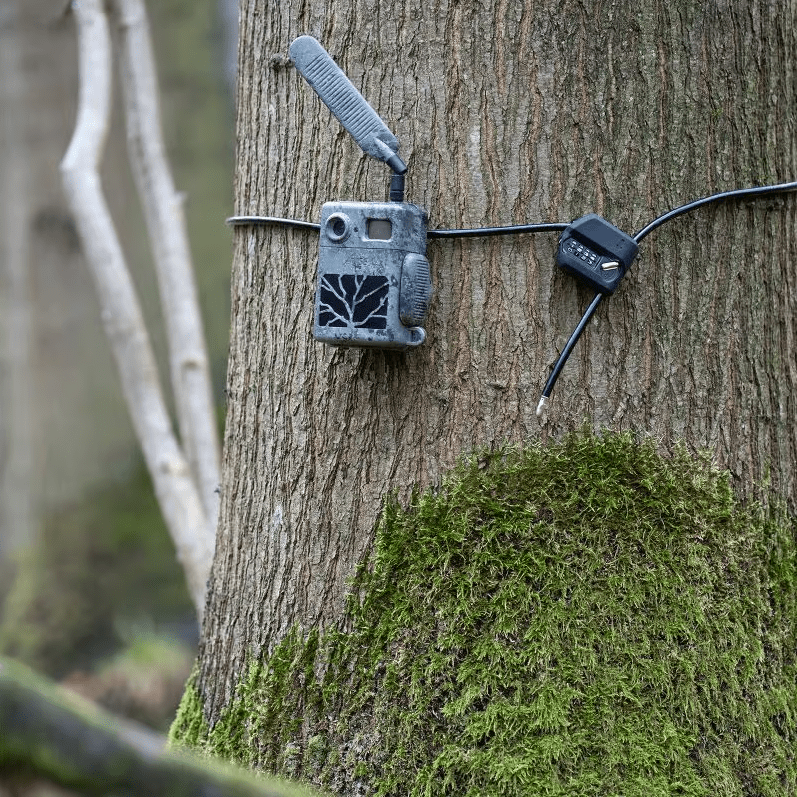 Cable de seguridad ZEISS LOCK con código para Secacam